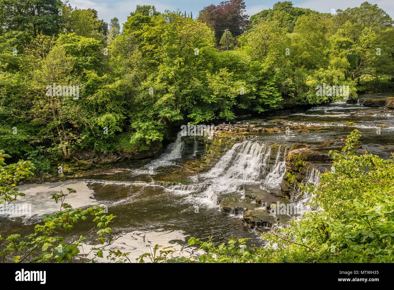 Middle Falls, Aysgarth, Wensleydale, Yorkshire Dales National Park, UK in late spring with very low water level Stock Photo