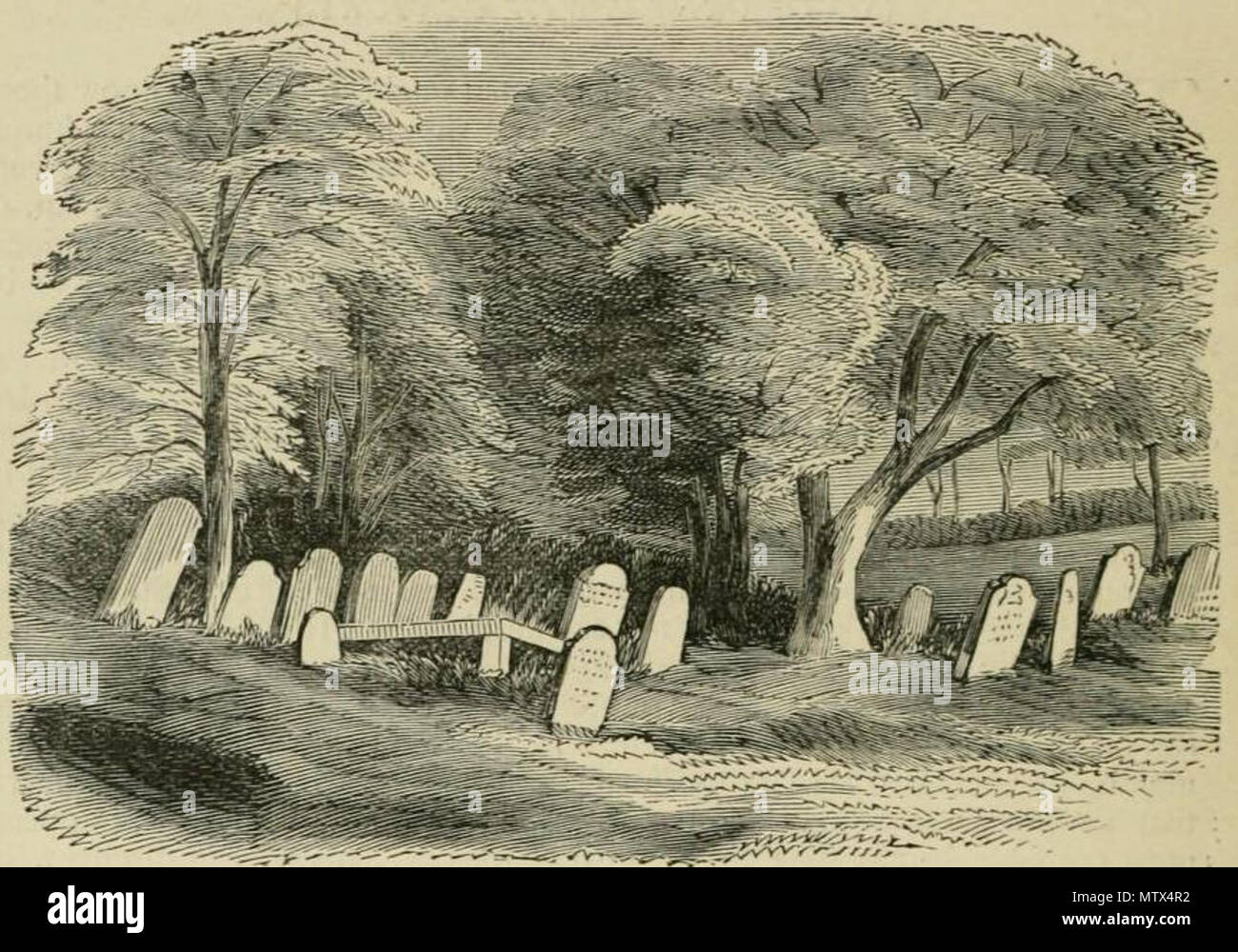 . English: w:Moycreddin lower cemetery, sketched in August 1874 by Rev. John Canon O'Hanlon . 1875. Rev. John O'Hanlon 1821-1905 (sketch) [William F. Wakeman ('drawn on the wood'); 'Mrs. Millard' (engraving)] 427 Moycreddin cemetery 1874 Stock Photo