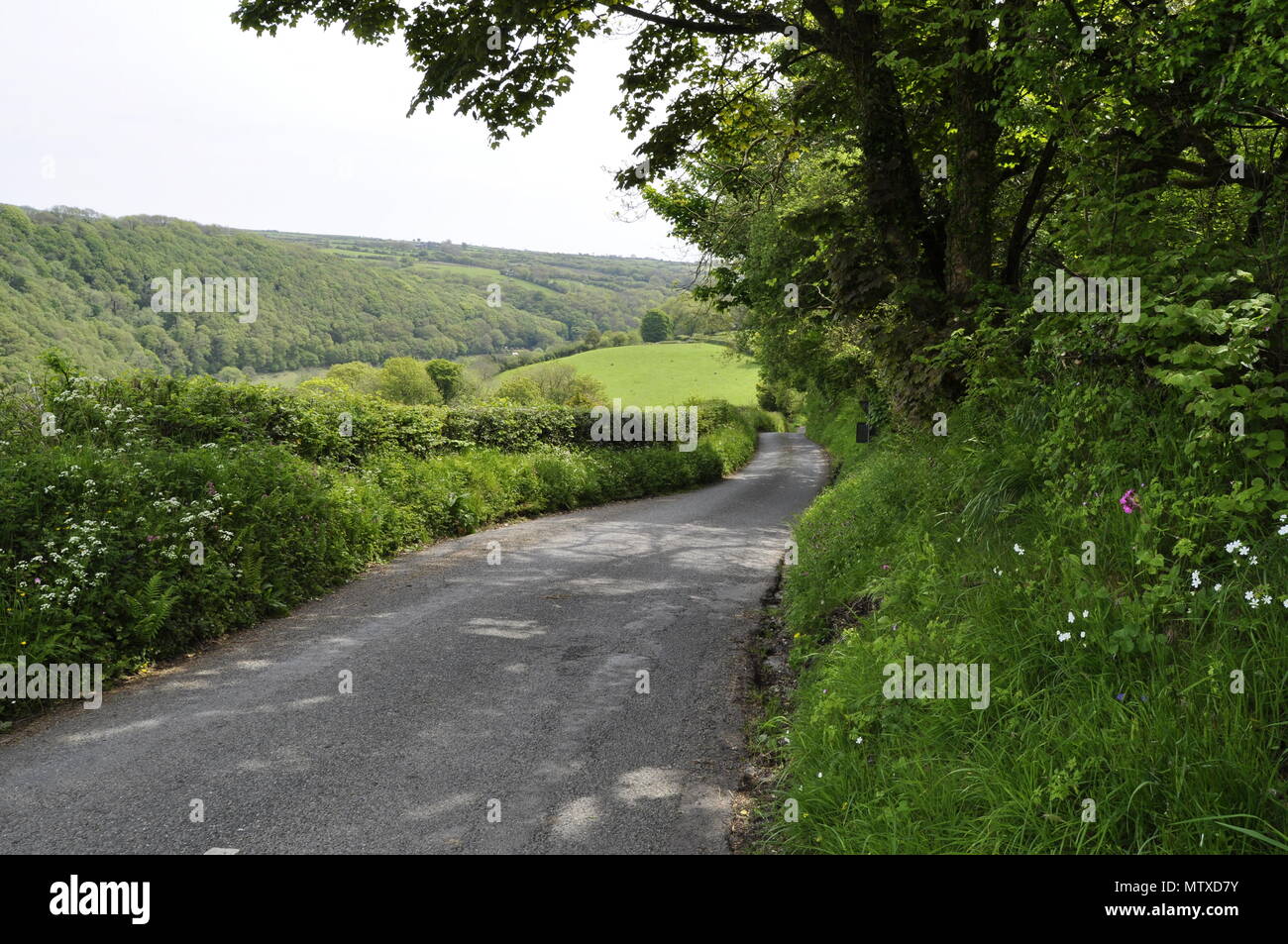 Gwaun Valley, Preselli Hills Pembrokeshire, Wales Stock Photo