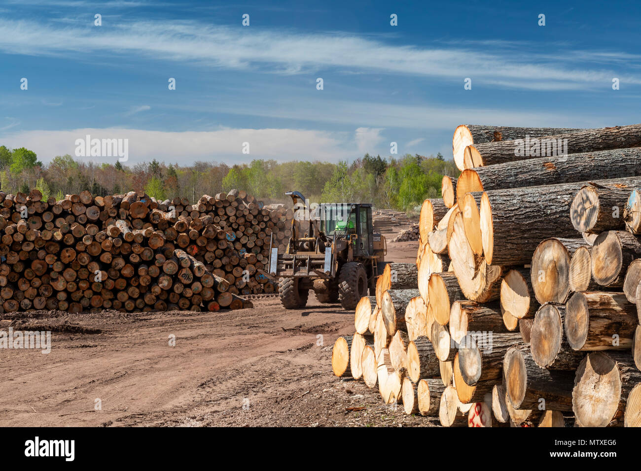 Baraga, Michigan - The Besse Forest Products log yard in Michigan's upper peninsula. Stock Photo