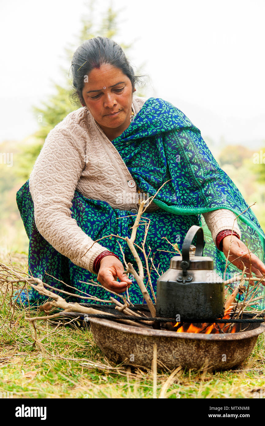 Indian woman making tea, Champawatt, Kumaon Hills, Uttarakhand, India Stock Photo