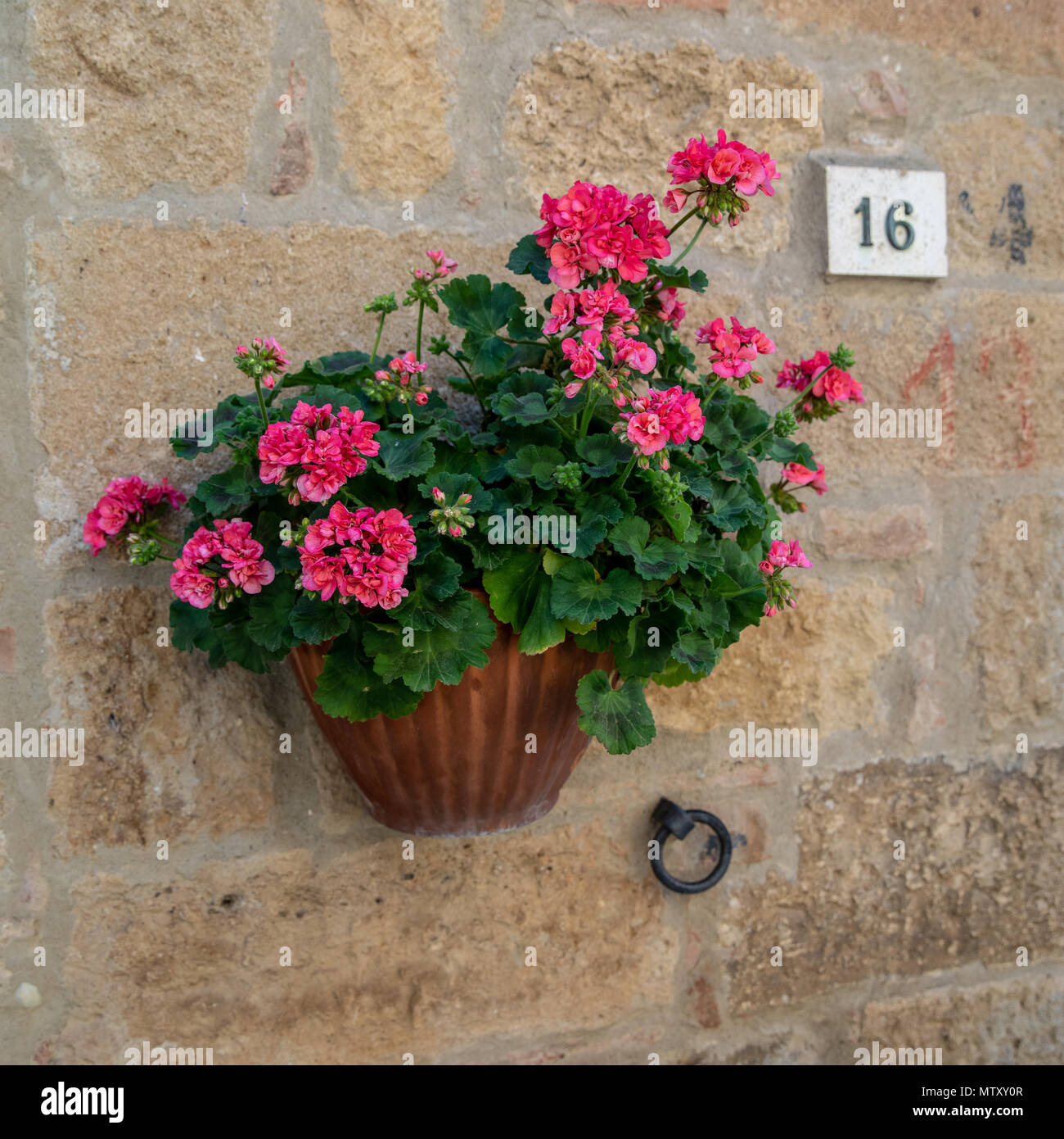 Flowers in wall pot Stock Photo - Alamy