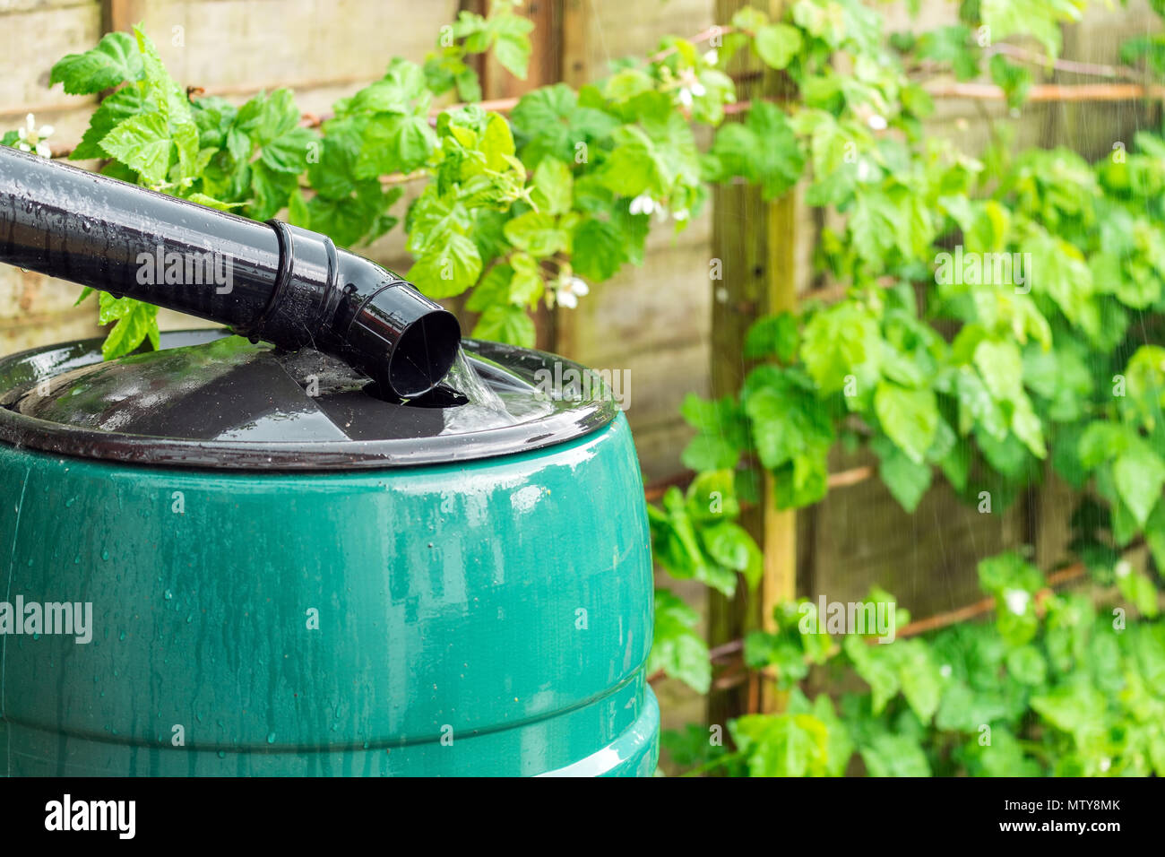 Water tank overflow hires stock photography and images Alamy