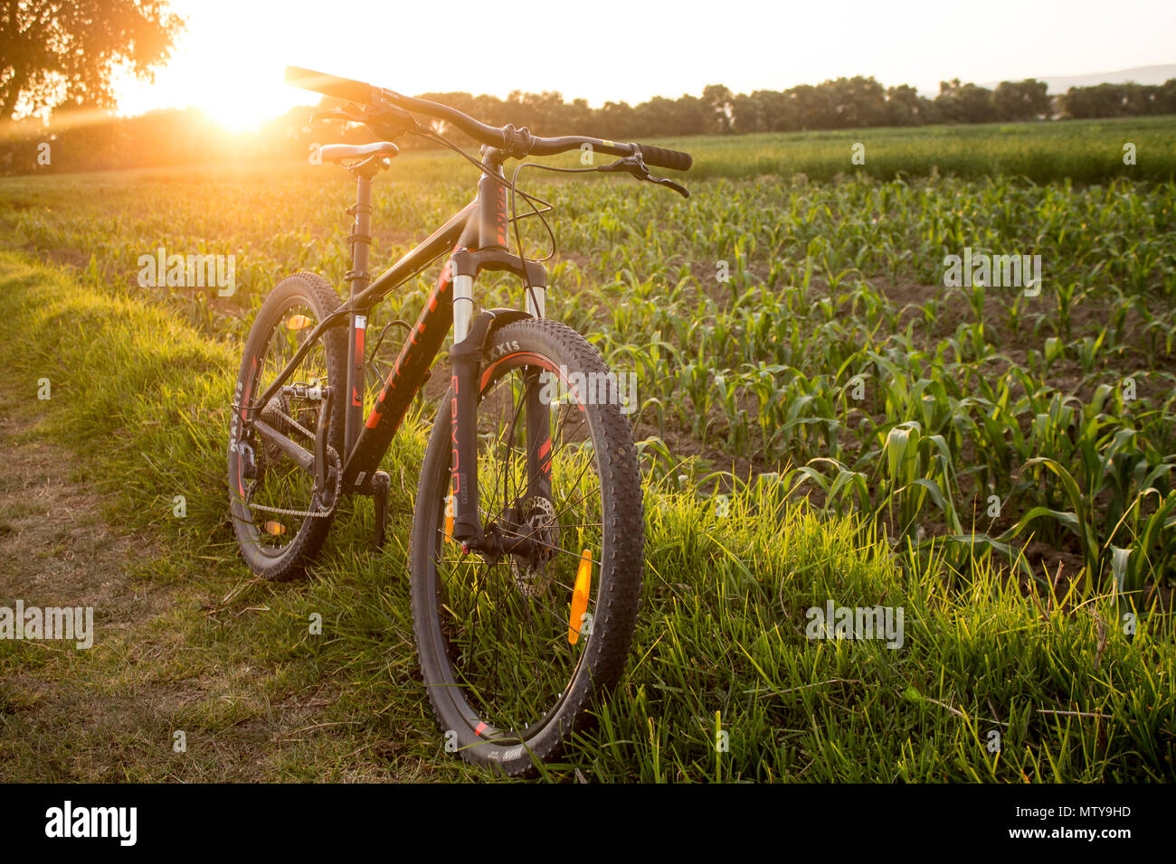 Giant mountain bike hi-res stock photography and images - Alamy