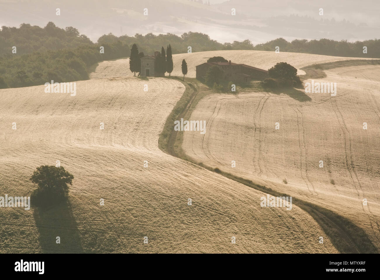 Chapel in a wheat field at sunrise, San Quirico d'Orcia, Siena, Tuscany, Italy Stock Photo