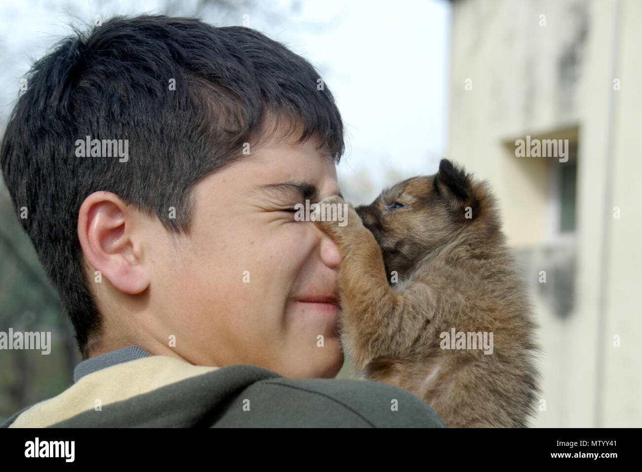 Stray puppy dog licking a boy's face, India Stock Photo