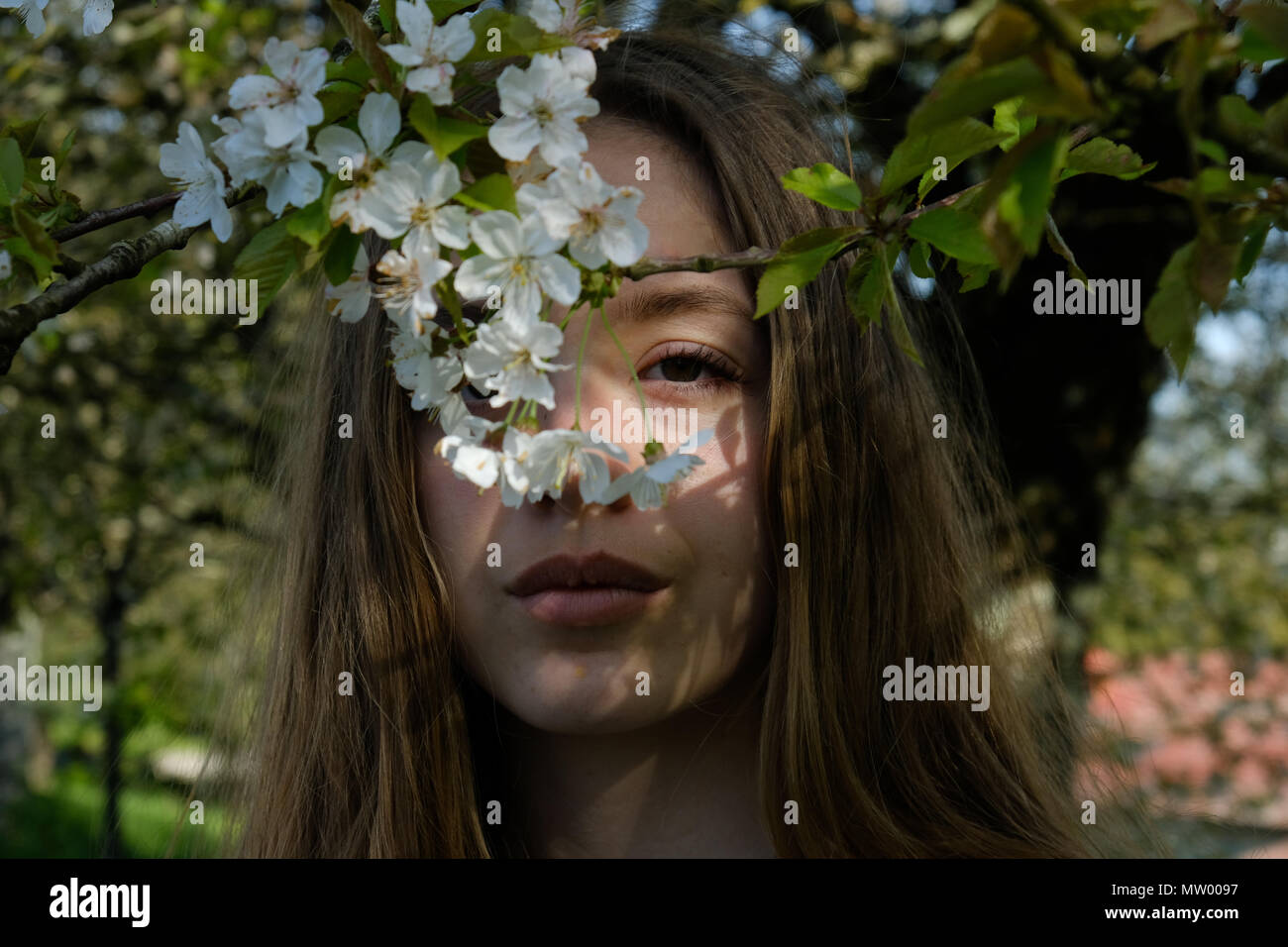 Portrait of a teenage girl standing under a cherry blossom tree Stock ...
