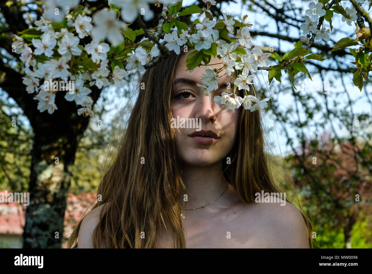 Looking up under a tree hires