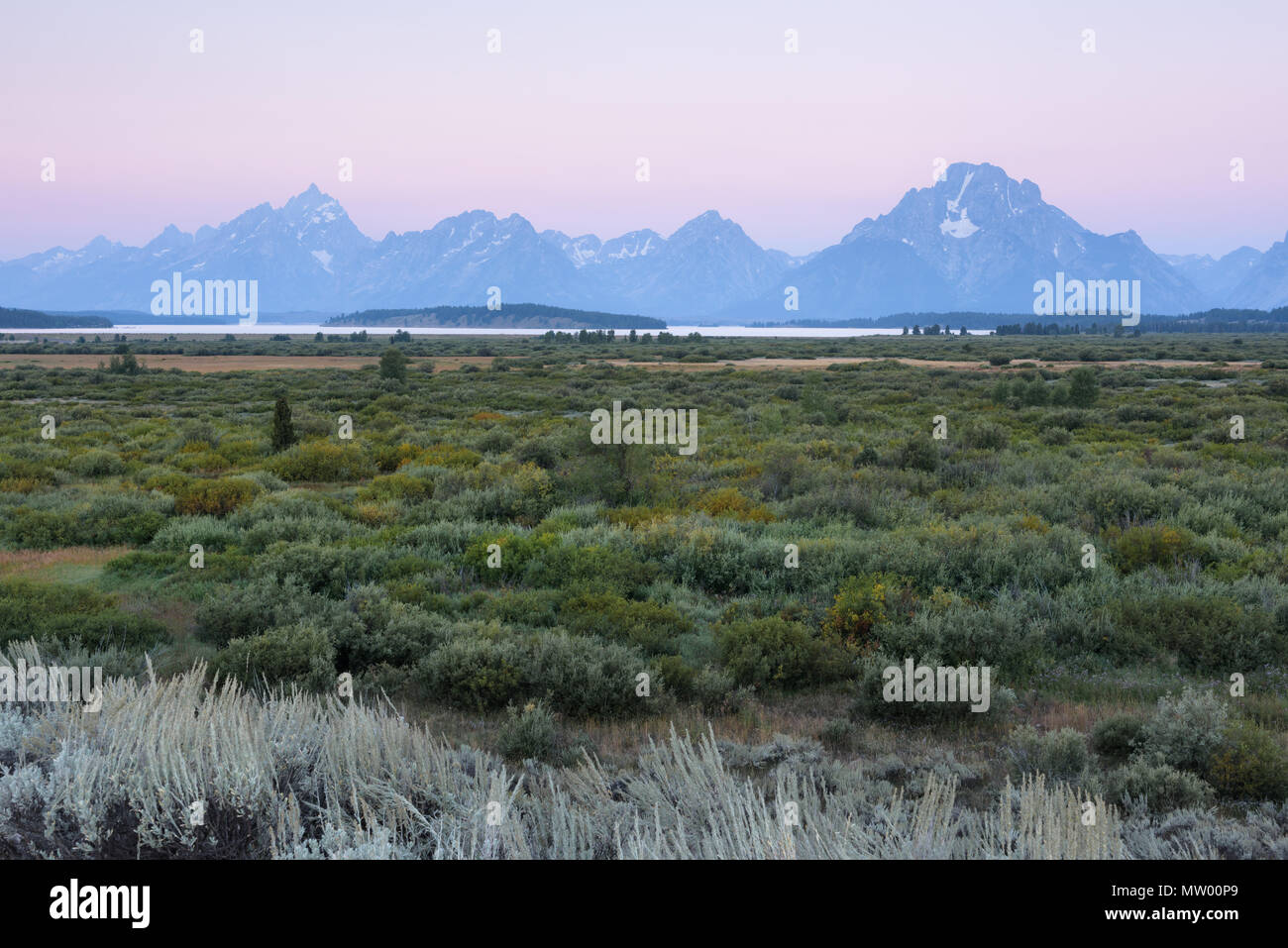 Willow Flats and Oxbow Bend, Grand Teton National Park, Wyoming, United States Stock Photo