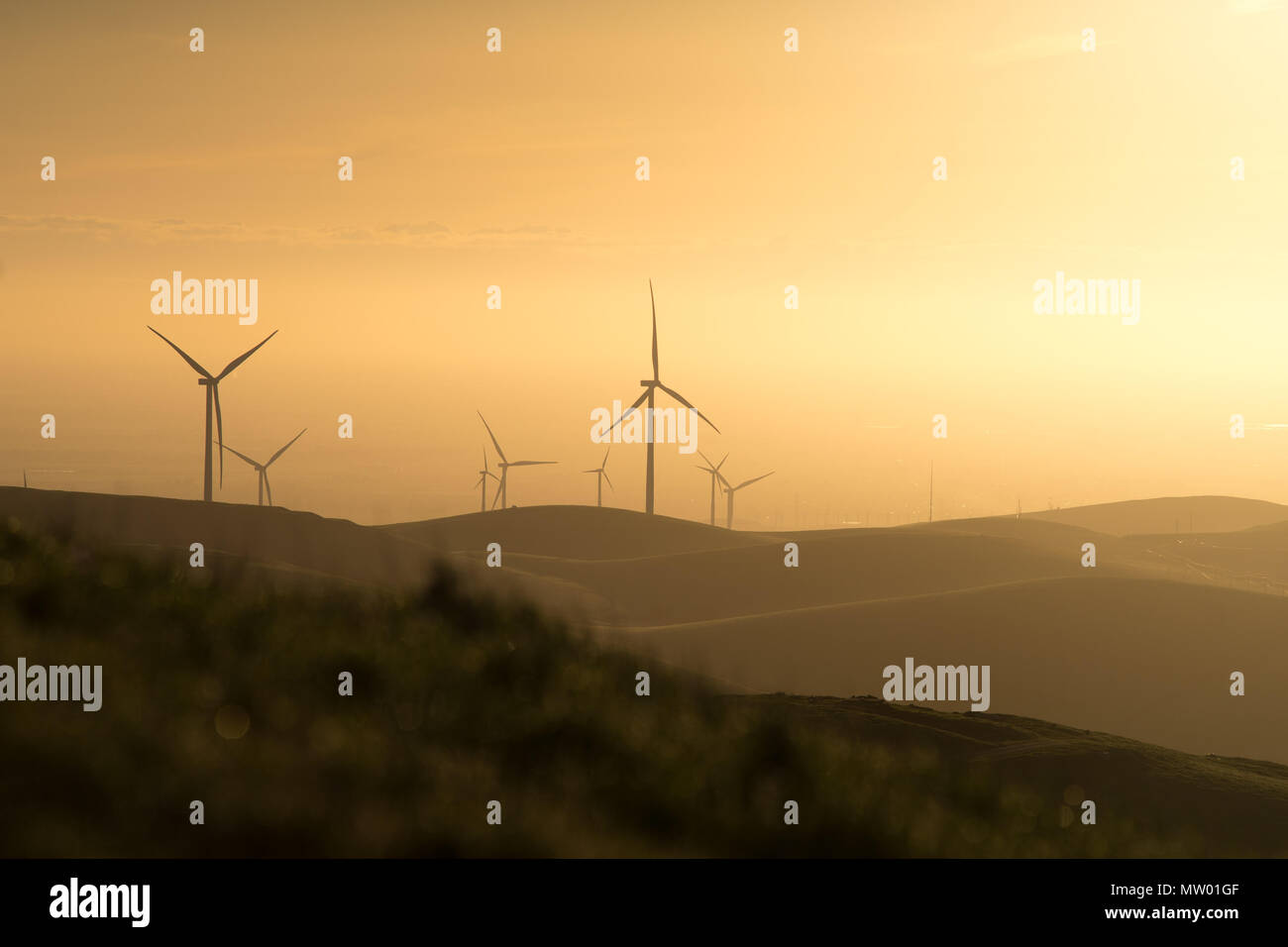 Wind turbines at sunset, Brushy Peak, California, United States Stock Photo