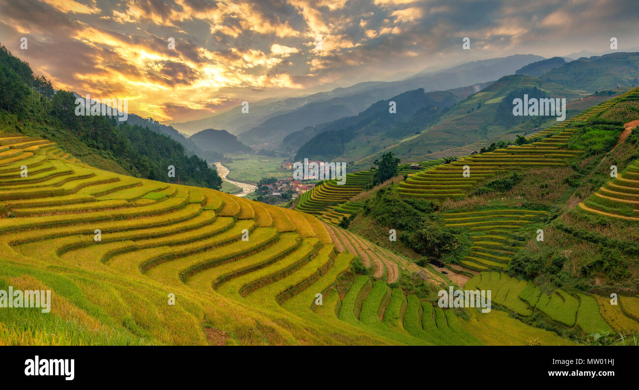 Mu Cang Chai terraced rice field near Sapa, Vietnam Stock Photo