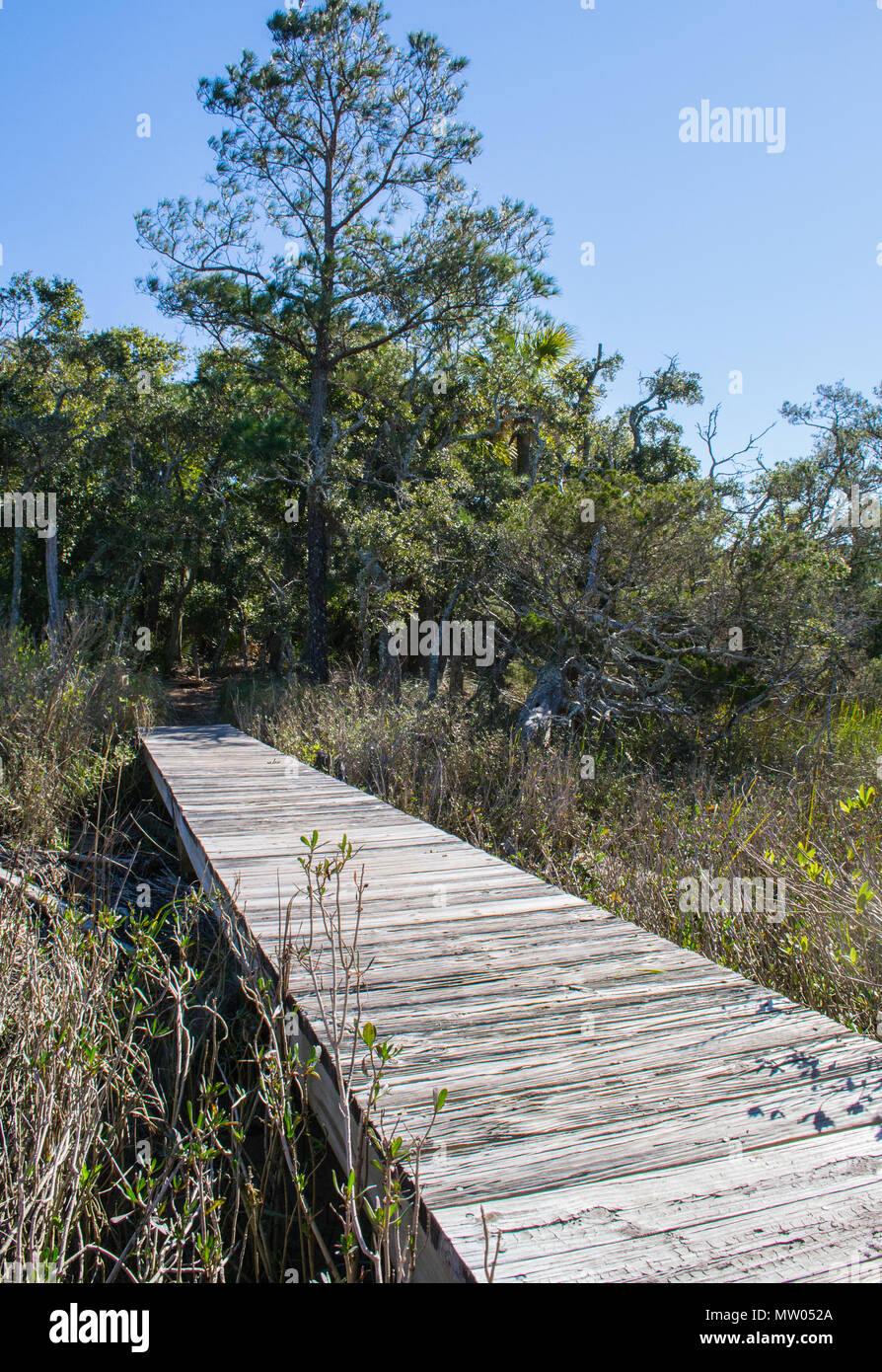 Bald Head Island North Carolina travel vacation getaway at the beach