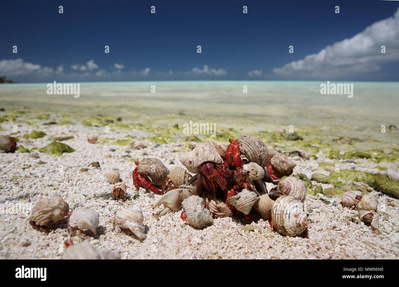 Hermit island hi-res stock photography and images - Alamy