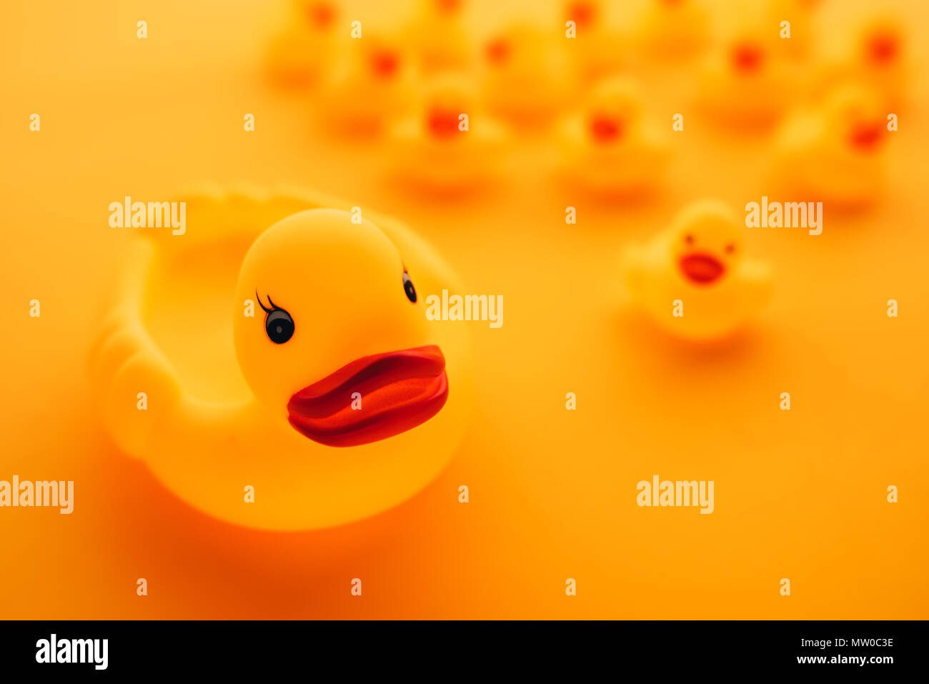 Rubber ducks in leadership concept, yellow duck leading forward her