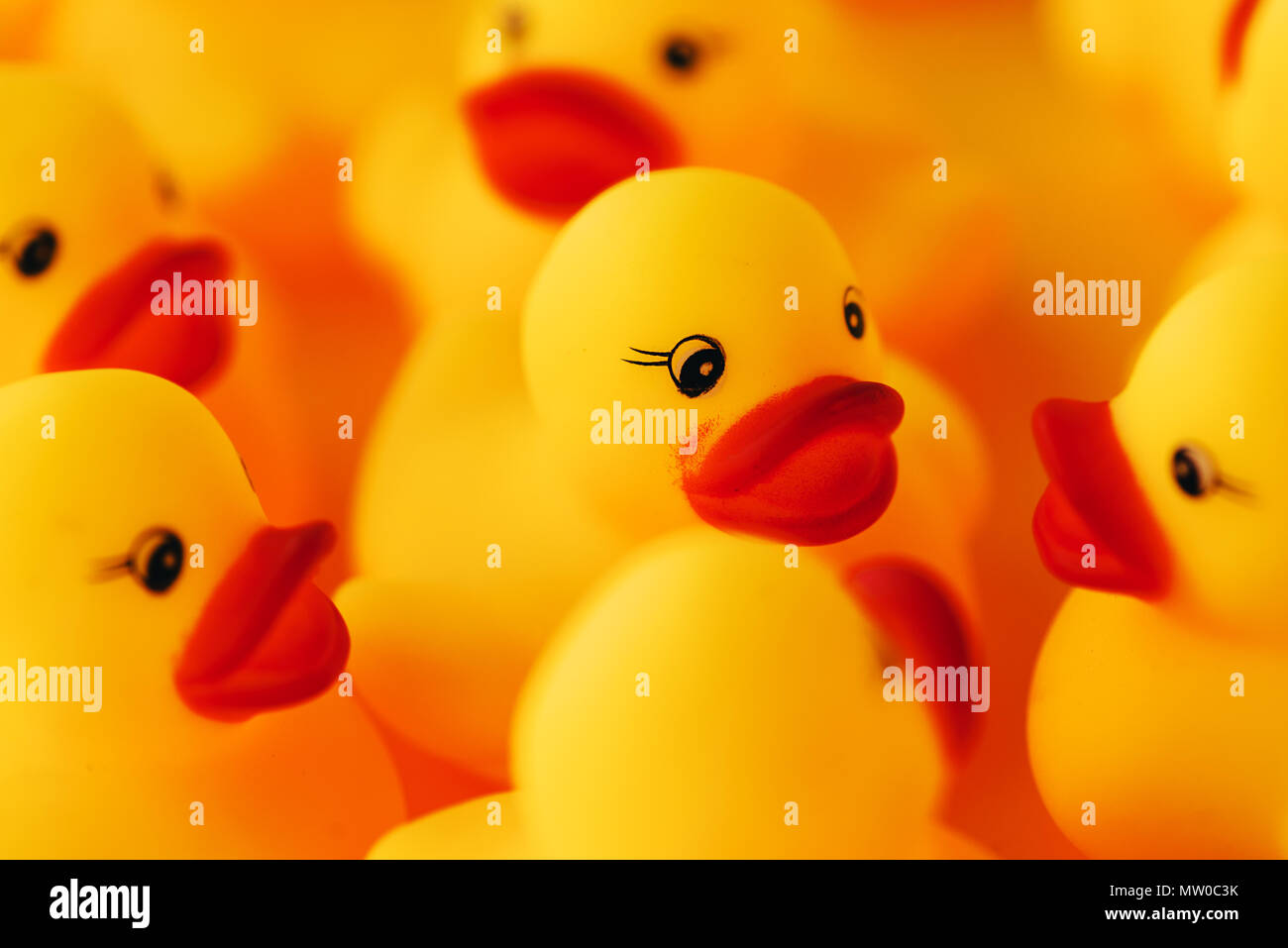 Group of rubber ducks chatting. Conceptual image of young ducklings talking to each other or gossiping for social media and networks related themes. Stock Photo