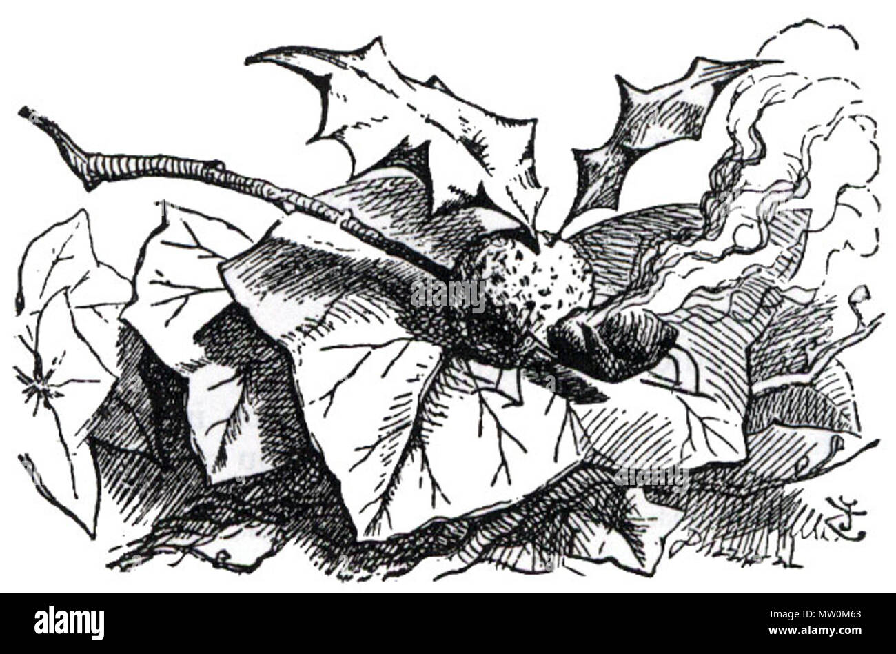en:John Tenniel's illustration of a snap-dragon-fly for en:Through the  Looking-Glass. Taken and cleaned up from Victorian Web. 12 October 2005  (original upload date). The original uploader was Ziggurat at English  Wikipedia