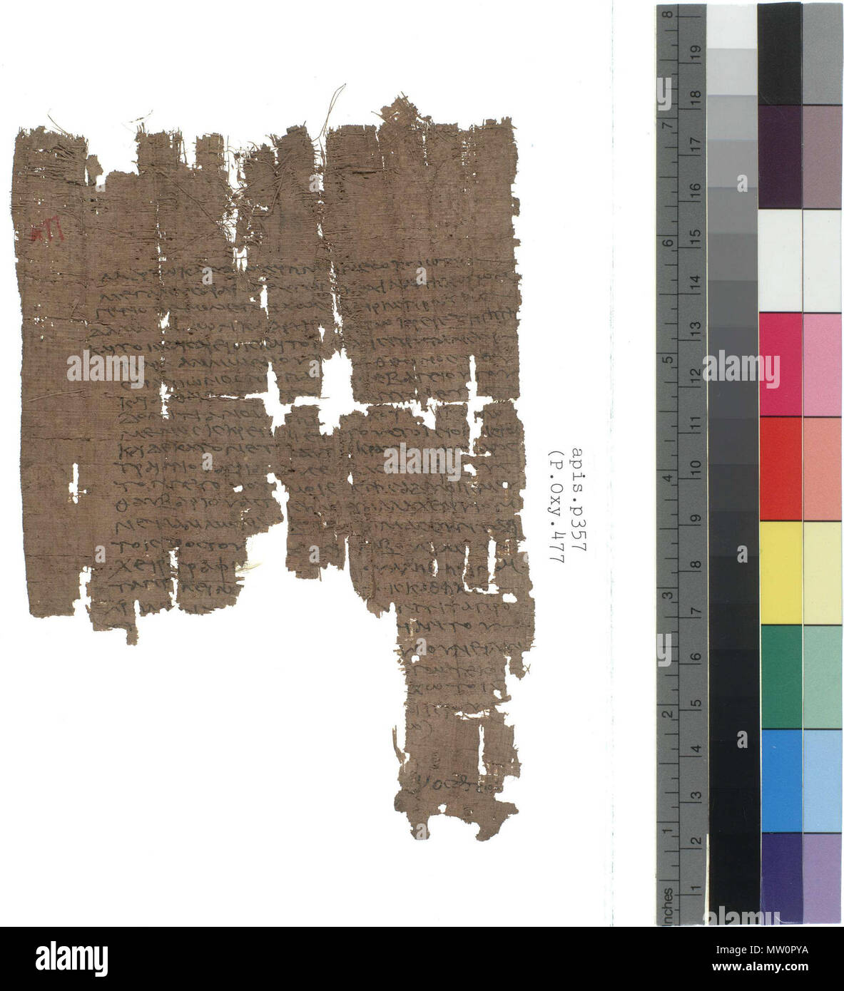 . Polski: Papirus Oxyrhynchus 477 English: Papyrus Oxyrhynchus 477 . 22 May 2012. unkonown 499 POxy 477 Stock Photo