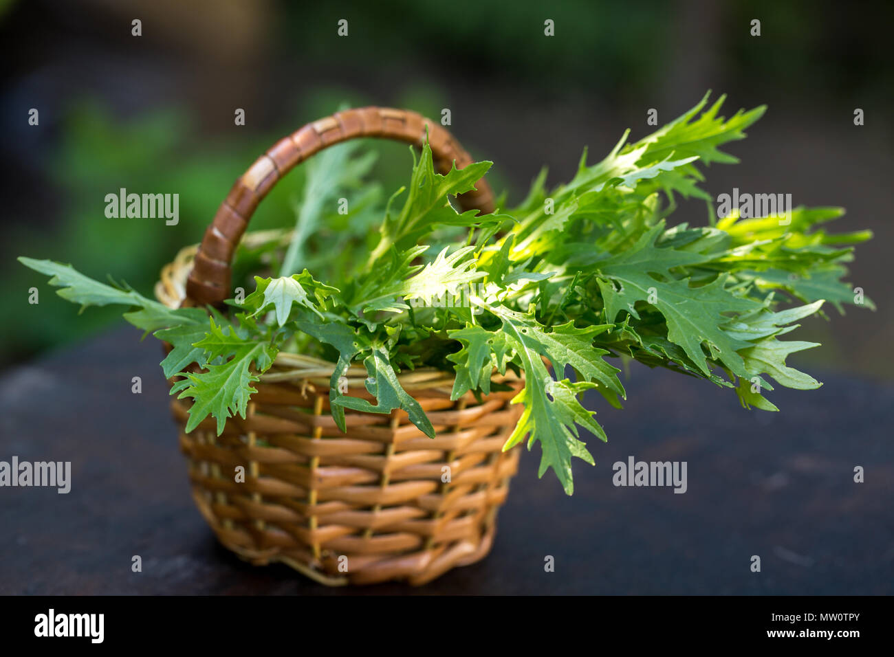 lettuce mustard in the basket Stock Photo Alamy