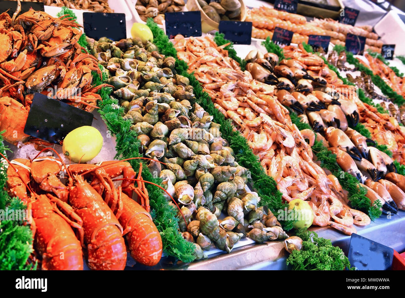 showcase-of-seafood-in-the-sea-market-MW0WWA.jpg