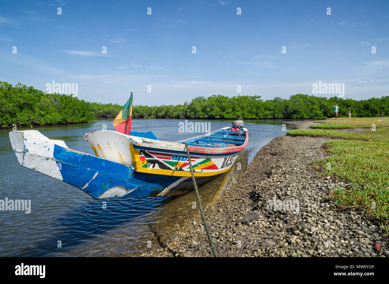 Colorful wooden boat or pirouge moored in mangrove forest of Sine Saloum Delta, Senegal, Africa. Stock Photo