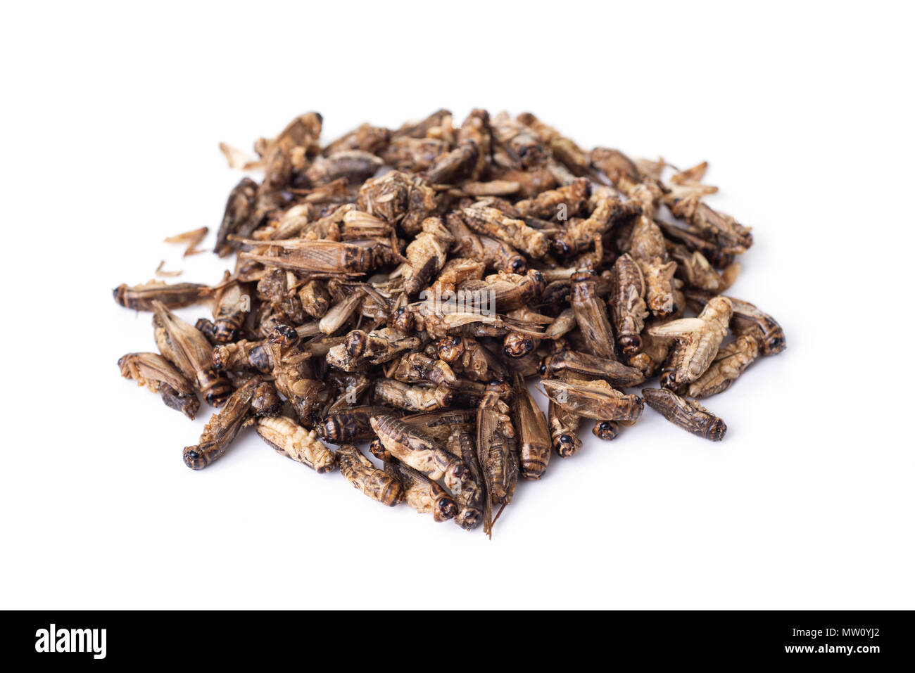 a pile of fried crickets seasoned with onion and barbecue sauce, on a white background Stock Photo