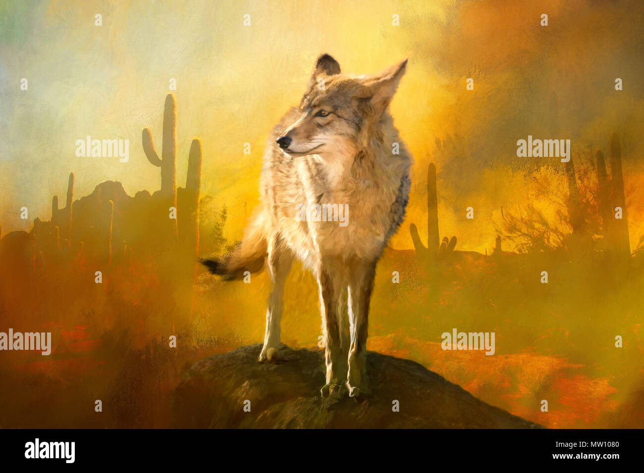 Coyote Painting in American Southwest Stock Photo