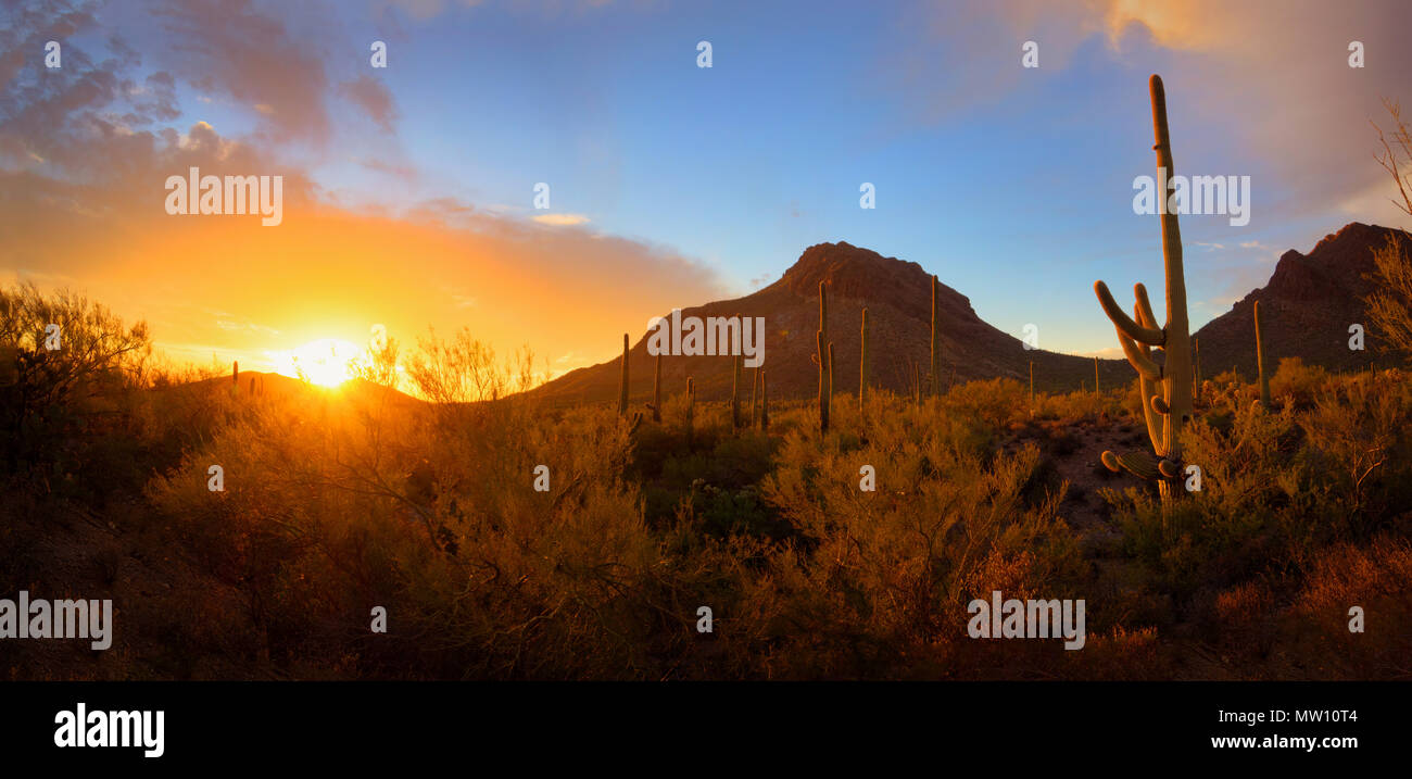 Sonoran desert sunset panorama hi-res stock photography and images - Alamy