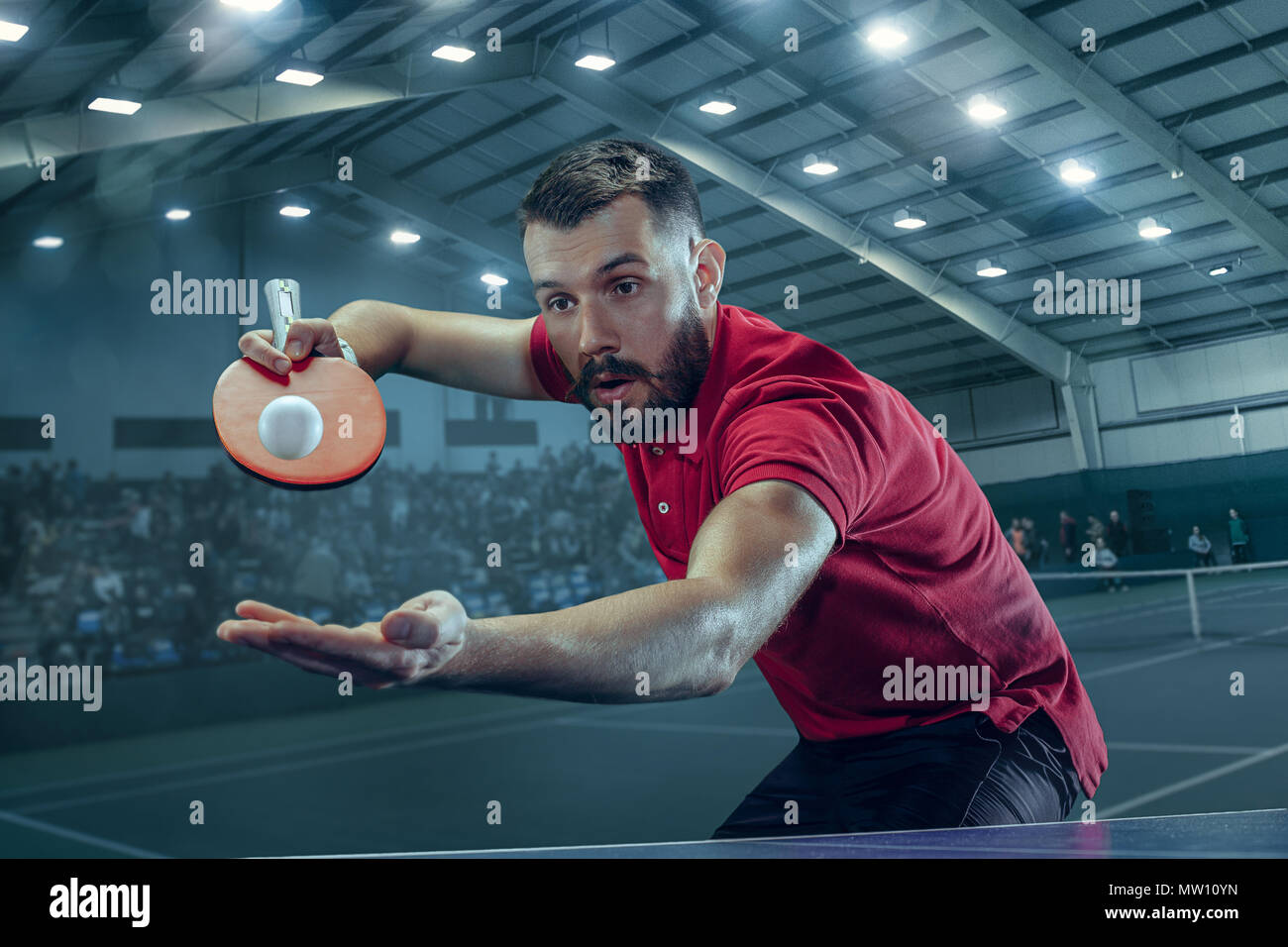 The table tennis player serving Stock Photo Alamy