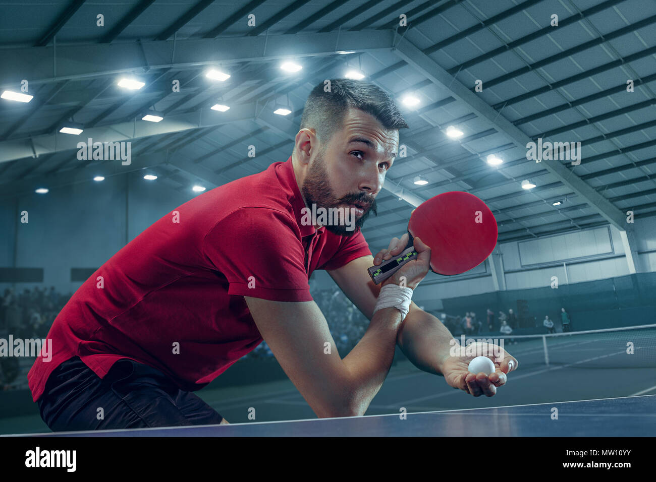 The table tennis player serving Stock Photo Alamy