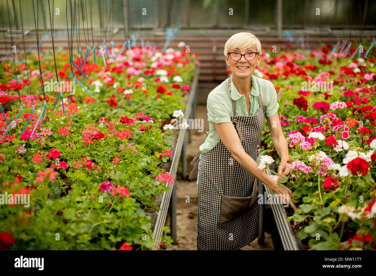 Old lady working in garden hi-res stock photography and images - Alamy