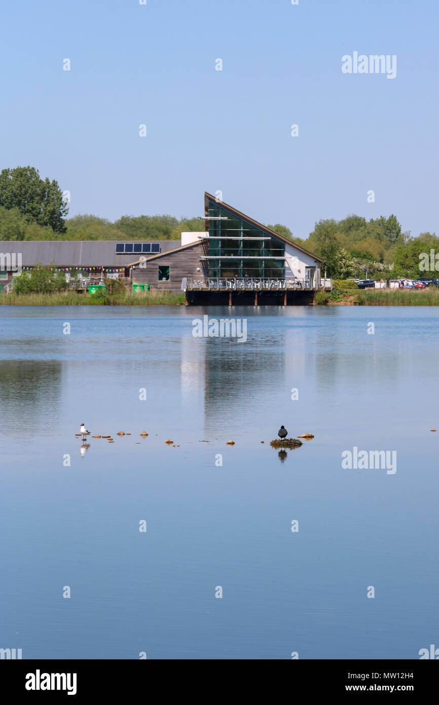 The visitor centre at Stanwick Lakes, Wellingborough is seen reflected in the still water of one of the lakes on a blazing sunny day, with a nesting moorhen in the foreground. Stock Photo