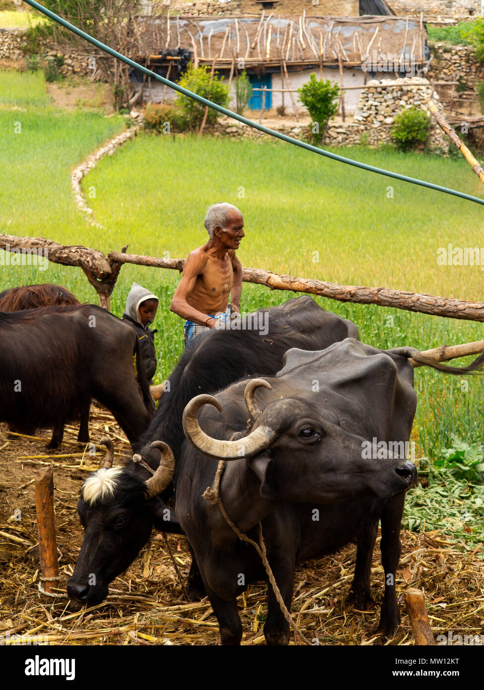 Old indian village man hi-res stock photography and images - Alamy