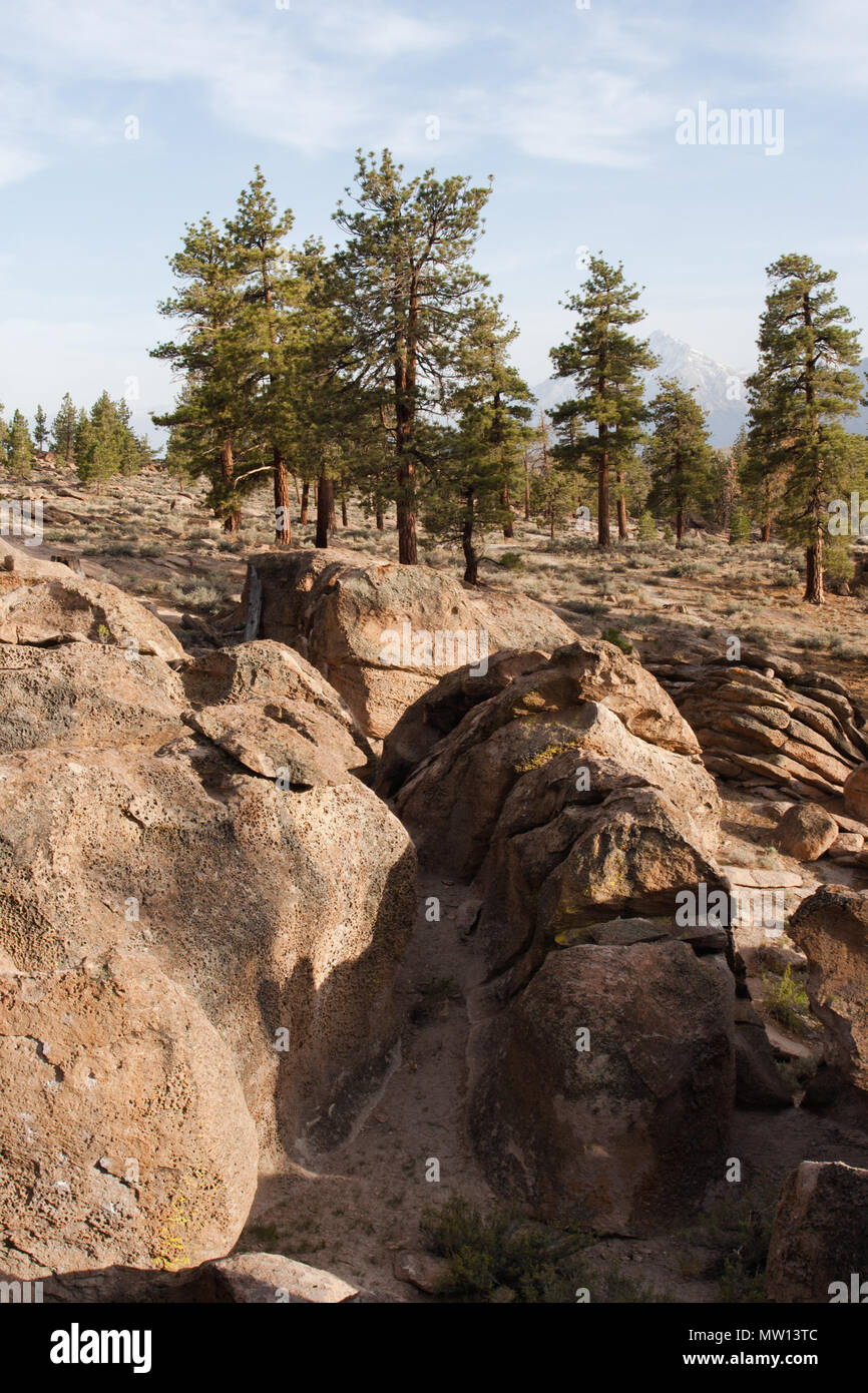 Landscape view of mountains and trees in California Stock Photo Alamy