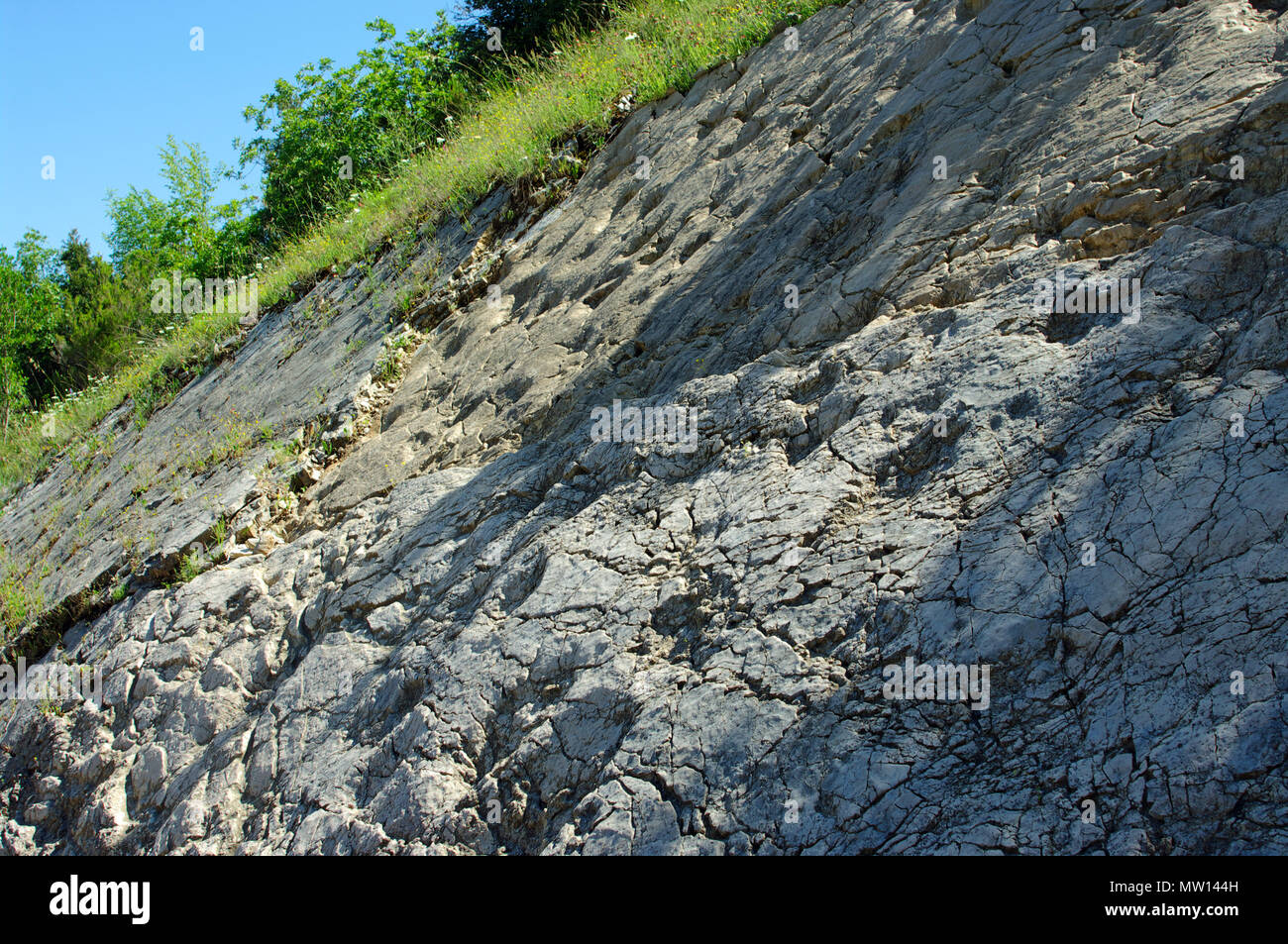 about 80 footprints of Dinosaurs found in Esperia,province of Frosinone,Italy, Europe Stock Photo