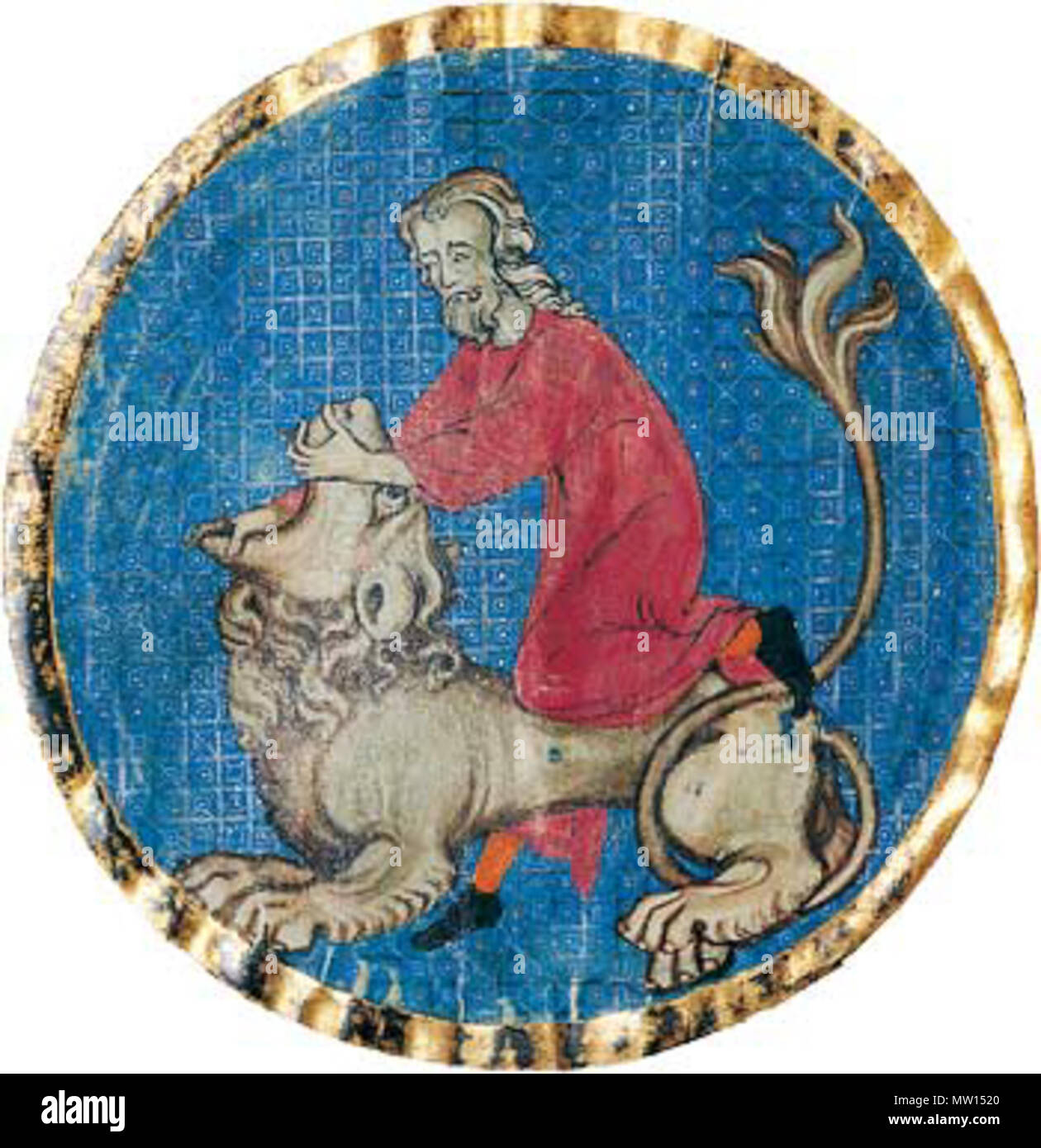 . English: Samson. The illustration from the North French Hebrew Miscellany manuscript, based on Judges 14:5-6 shows how 'a young liion roared against him ... and he rent him as he would have rent a kid ...' Samson is portrayed tearing the lion's mouth, one of his legs resting on the lion's back as he tears its jaws. circa 1278-98. Binyamin 449 North French Hebrew Miscellany folio 520a.l Stock Photo