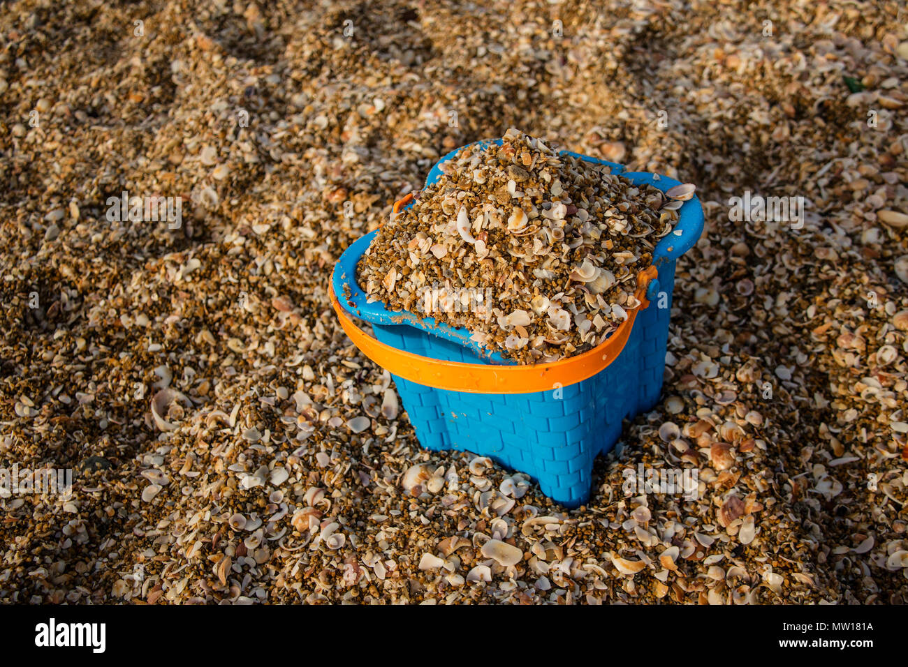 A light blue plastic bucket filled with sand and broken shells at the beach Stock Photo