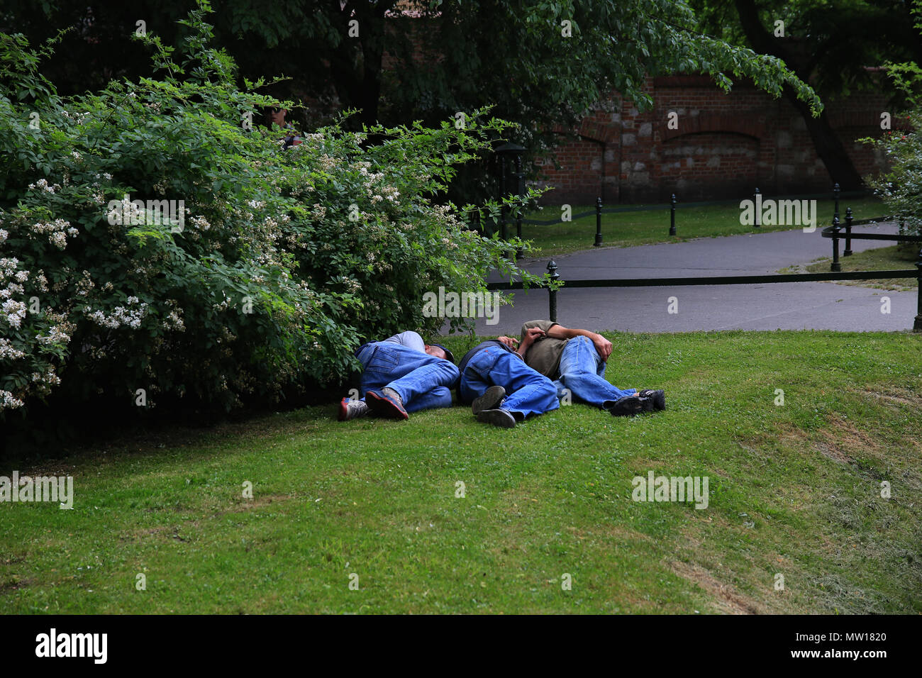Summer Heat Wave in park, Krakow, Poland Stock Photo