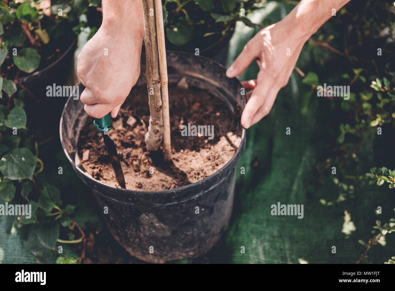 partial view of gardener with hand trowel planting a plant in metal