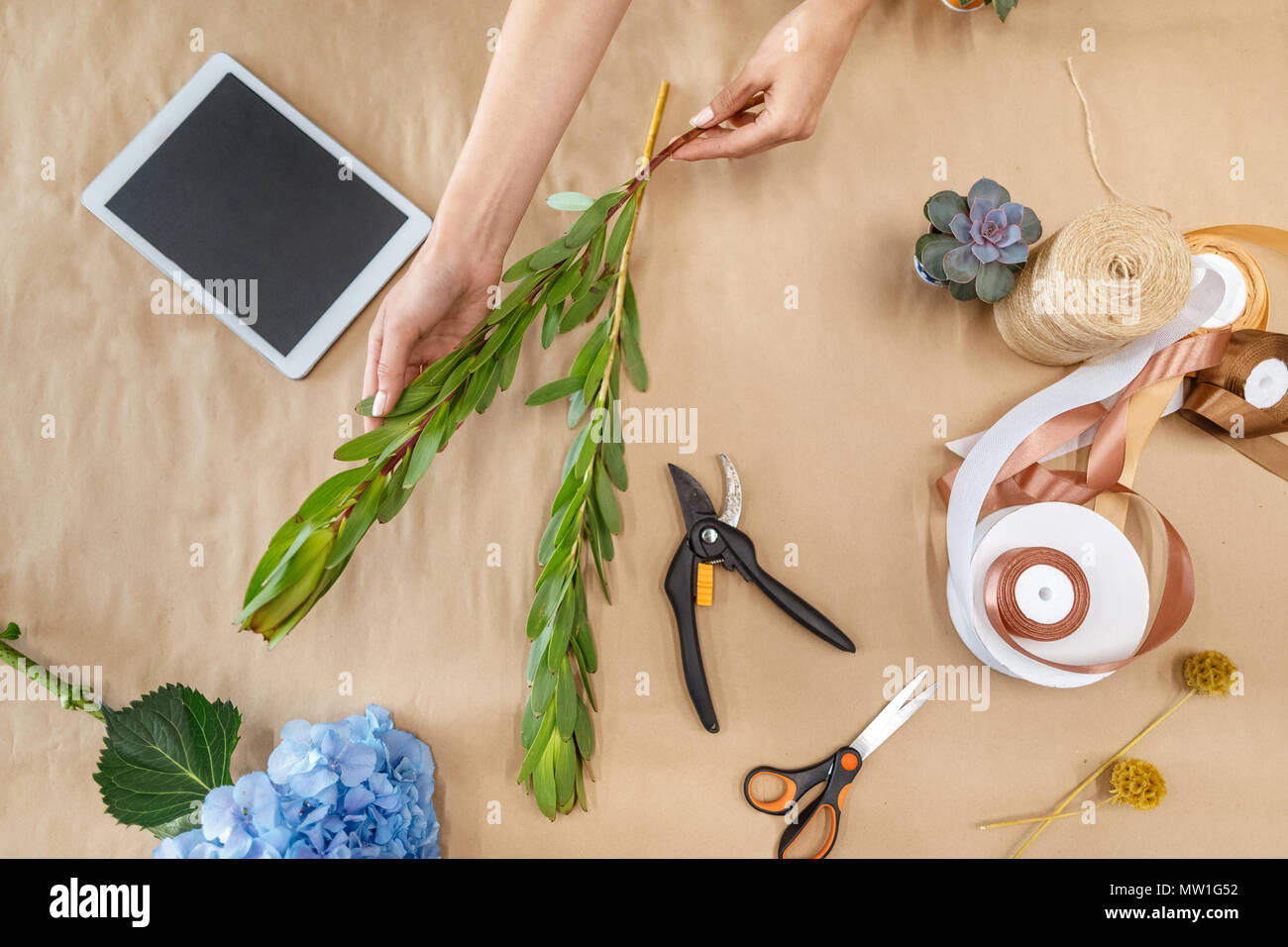 Hands arranging paper hi-res stock photography and images - Alamy