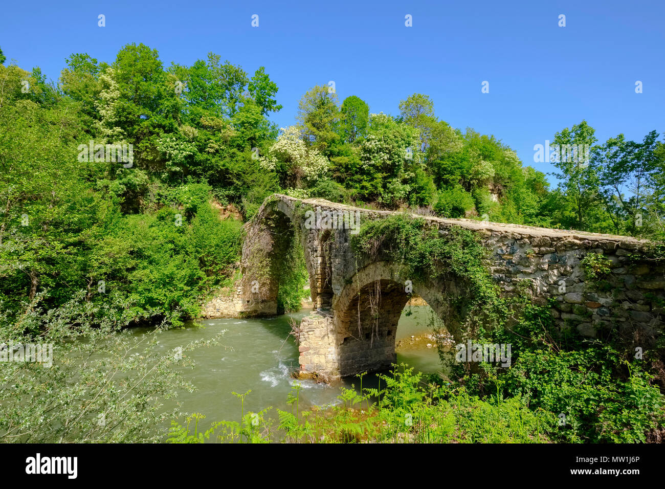 Old Ottoman stone arch bridge Ura e Golikut over river Shkumbin, Korca region, Albania Stock Photo