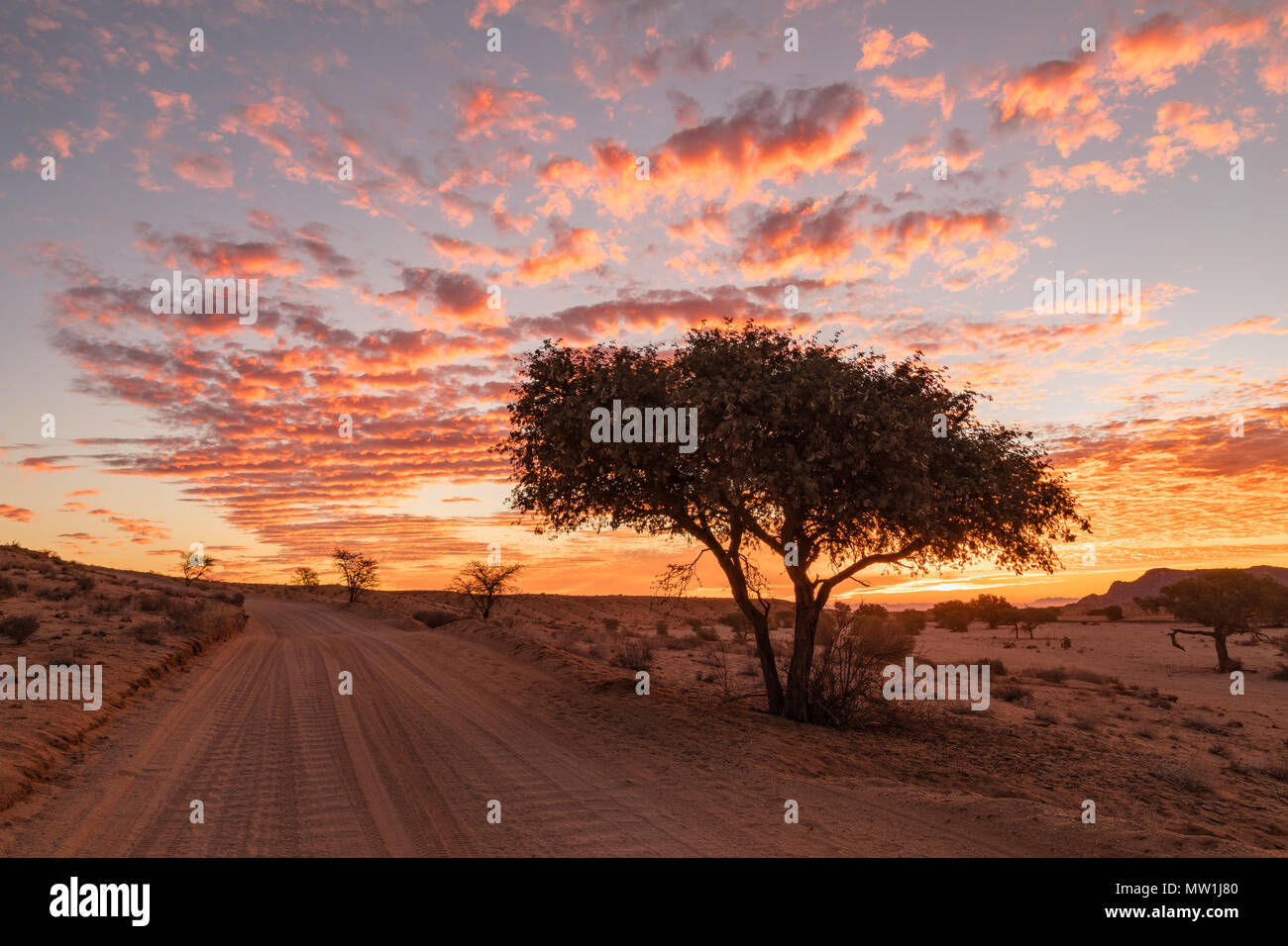 Aus, Namibia, Africa Stock Photo