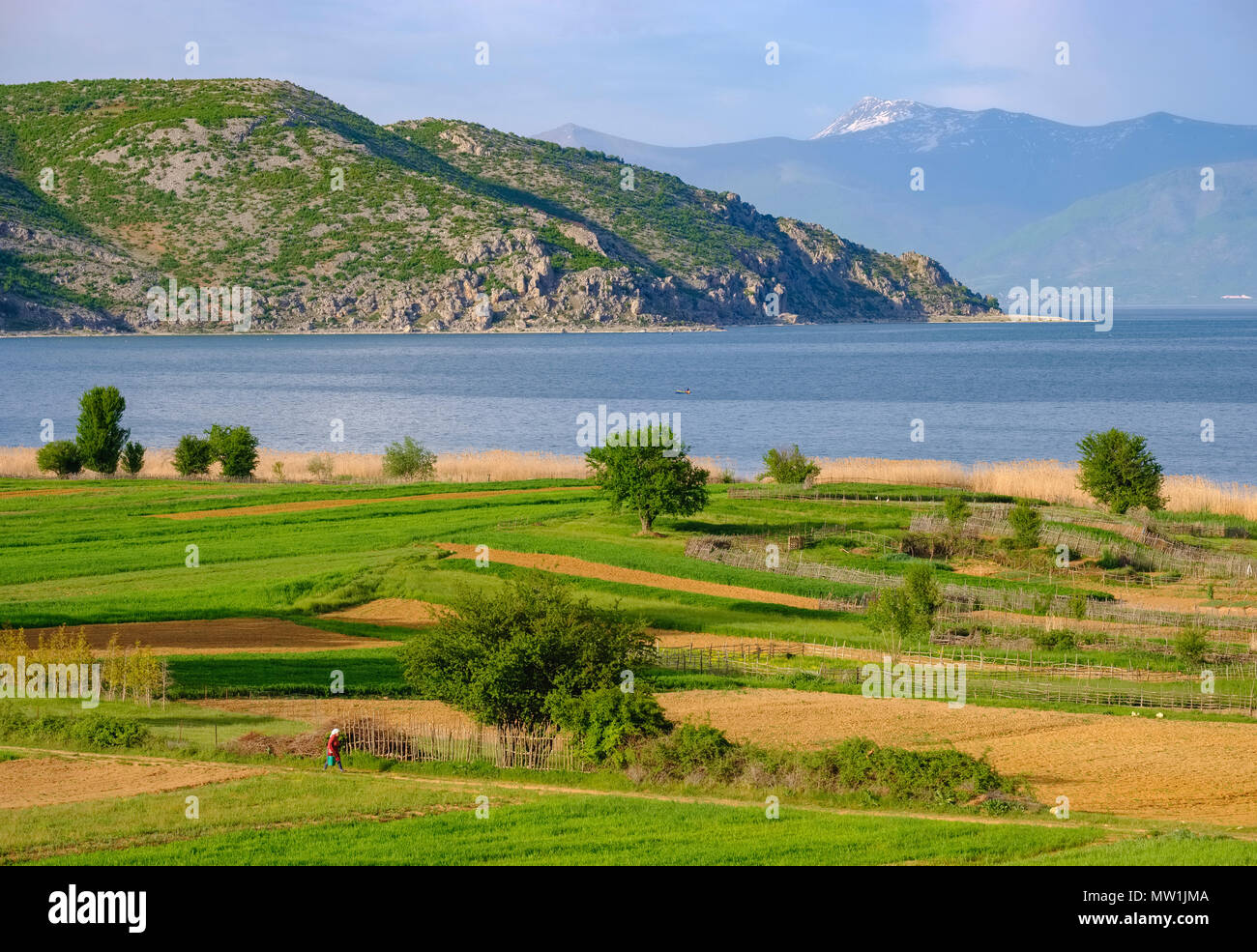 Great Lake Prespa, Prespa National Park, near Korça, Albania Stock Photo