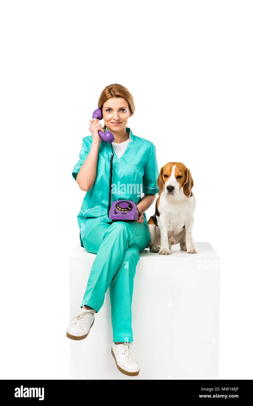 smiling veterinarian with beagle dog near by talking on telephone isolated on white Stock Photo