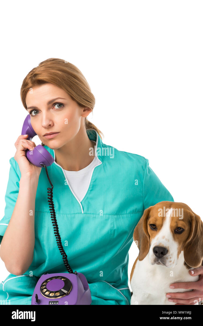 portrait of veterinarian with beagle dog near by talking on telephone isolated on white Stock Photo