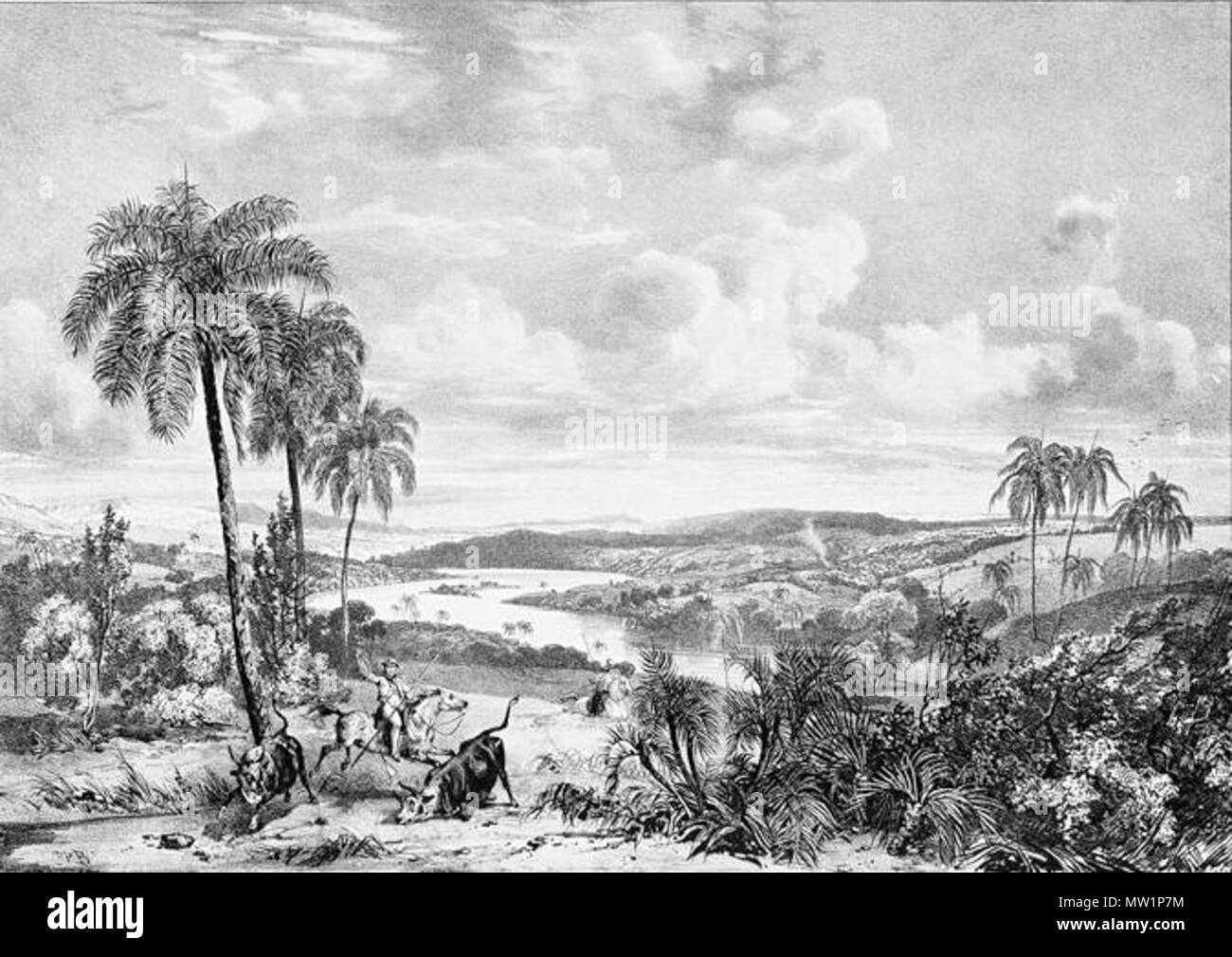 .  English: Green fields at the boards of Rio das Velhas Português: Campos nas margens do Rio das Velhas  . from 1827 until 1835  520 Richard Bonington, Victor Adam - Campos nas margens do rio das Velhas Stock Photo