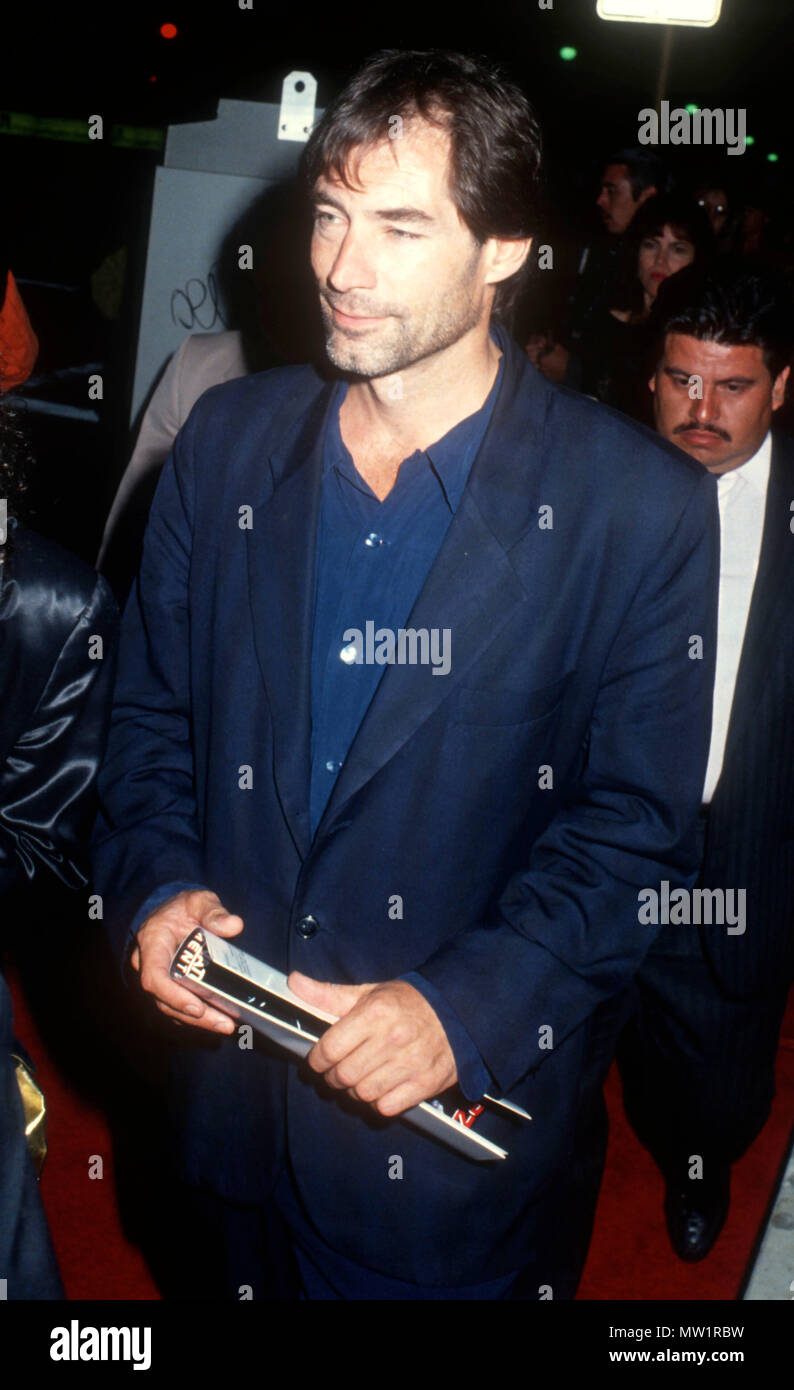 LOS ANGELES, CA - JULY 1: Actor Timothy Dalton attends the 'Terminator 2: Judgement Day' Los Angeles Premiere on July 1, 1991 at Cineplex Odeon Cinemas in Los Angeles, California. Photo by Barry King/Alamy Stock Photo Stock Photo