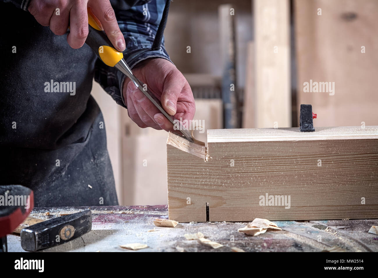 Close up experienced carpenter in work clothes and small buiness owner working in woodwork workshop,  using chisel for cutting out of wood  in worksho Stock Photo
