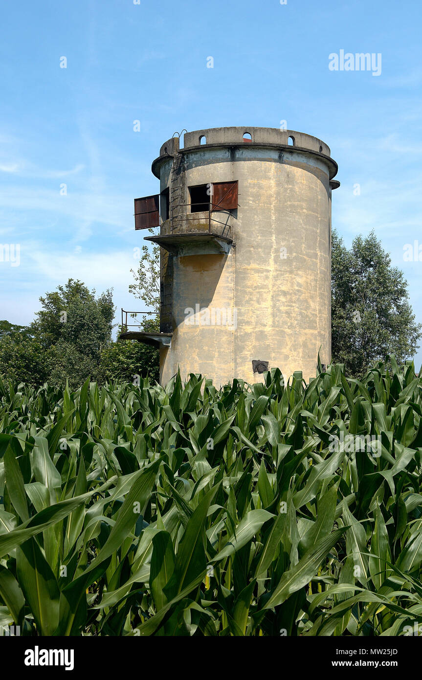 Lograto (Bs),Lombardy,Italy,a silos in a cornfield Stock Photo