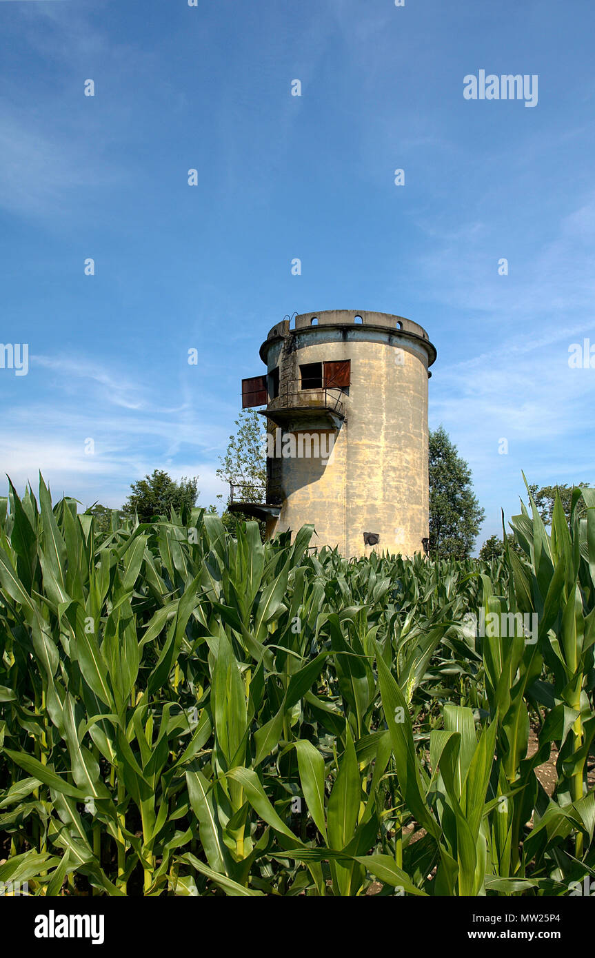 Lograto (Bs),Lombardy,Italy,a silos in a cornfield Stock Photo