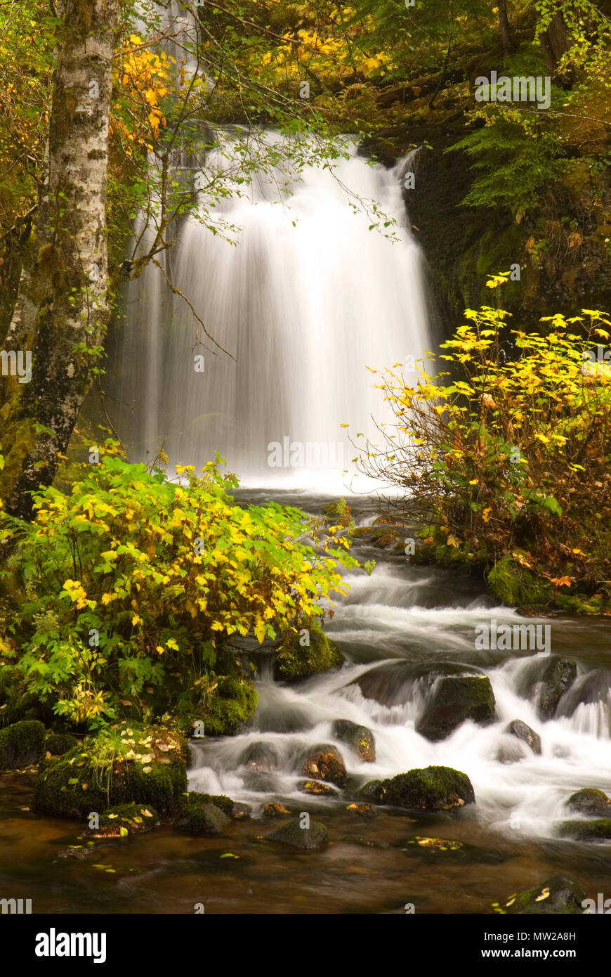 Twin Falls, Gifford Pinchot National Forest, Washington Stock Photo Alamy